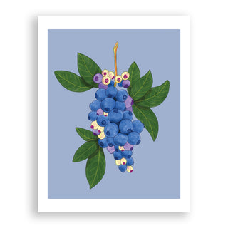 Blueberries Print