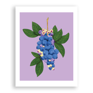 Blueberries Print