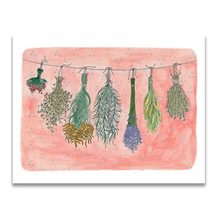 Dried Herbs Print
