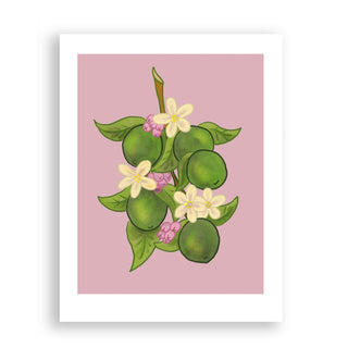 Limes Print