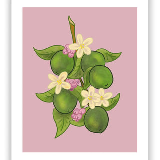Limes Print