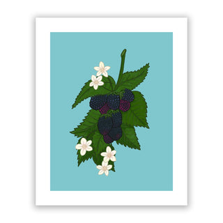 Blackberries print