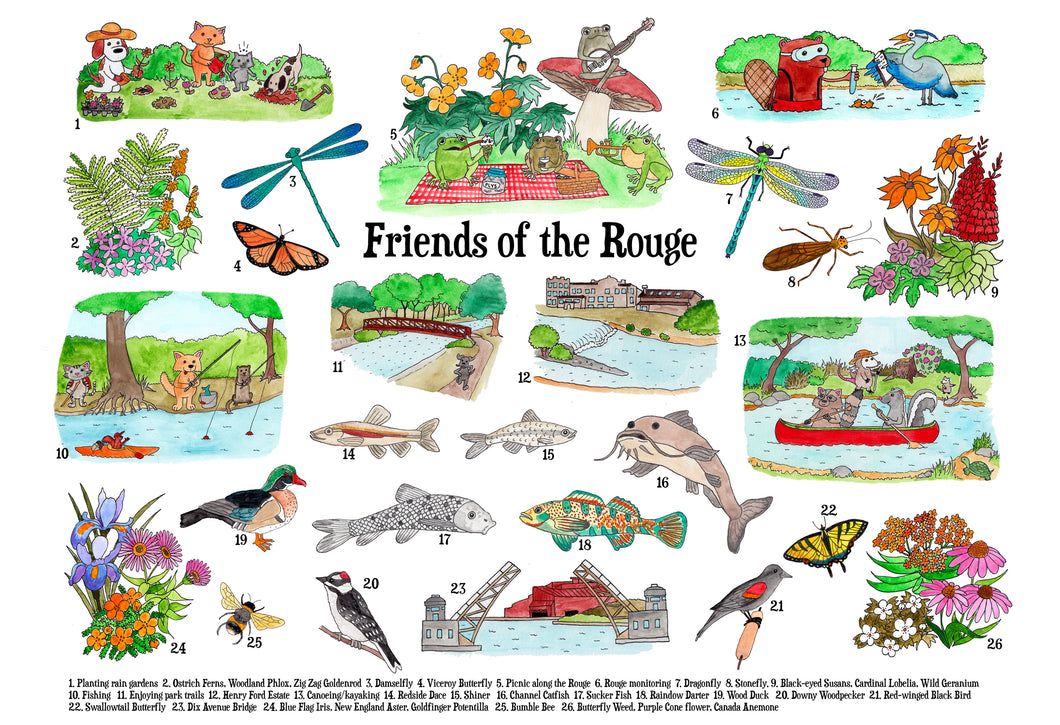 Friend's of the Rouge Print