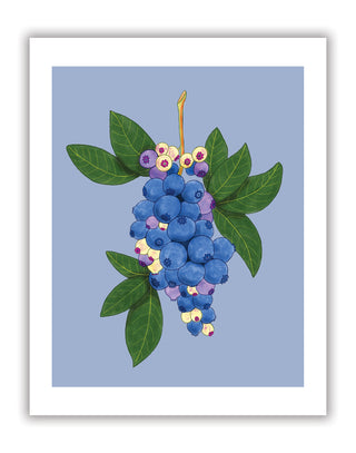 Blueberries in bloom print