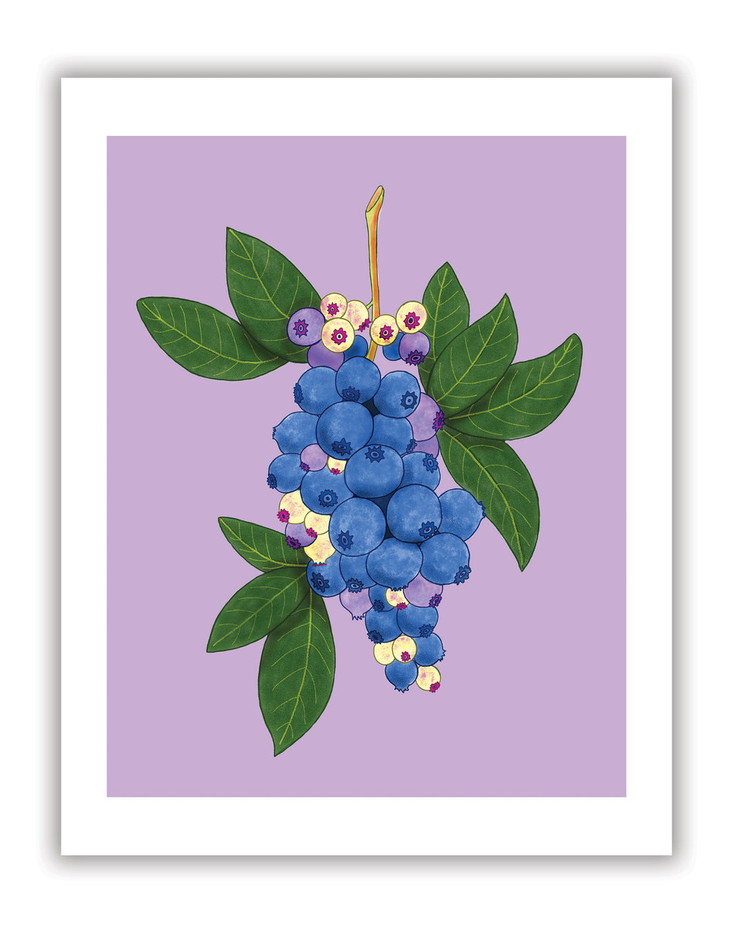 Blueberries in bloom print
