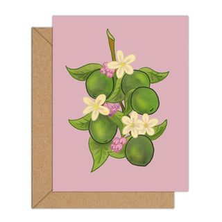 Limes Card