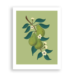 Illustration of pears and leaves on a green background