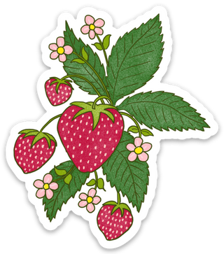 Strawberry Vinyl Sticker