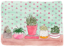 Load image into Gallery viewer, Succulents Plants in Pots
