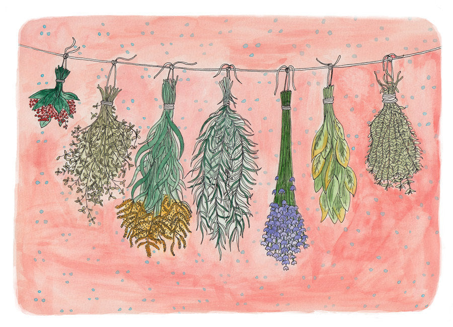 Hanging Dried Herbs Print