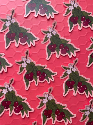 Cherry Sticker