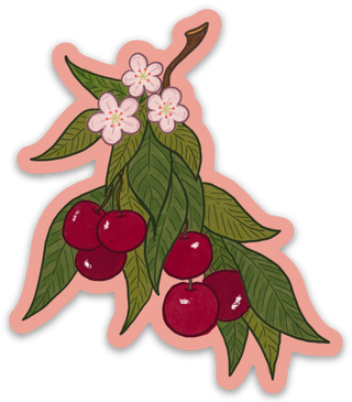 Cherry Sticker